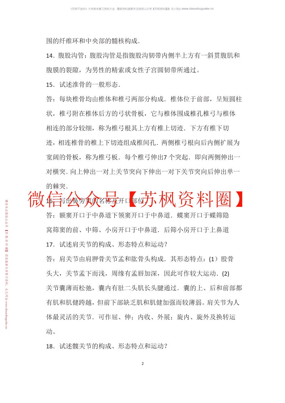 功能解剖学